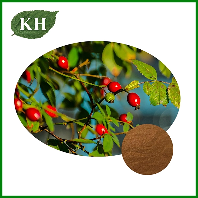 Rose Hip Extract Powder
